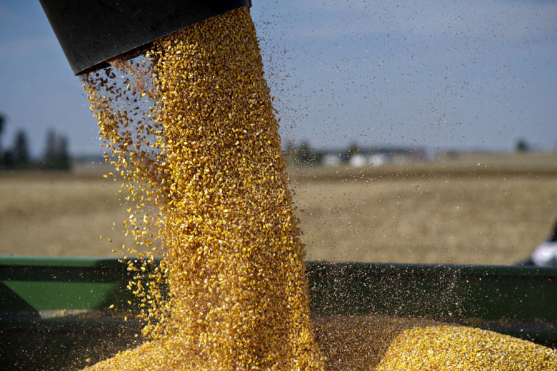 Экспортную пошлину на пшеницу из РФ снизят до 2476,6 рублей